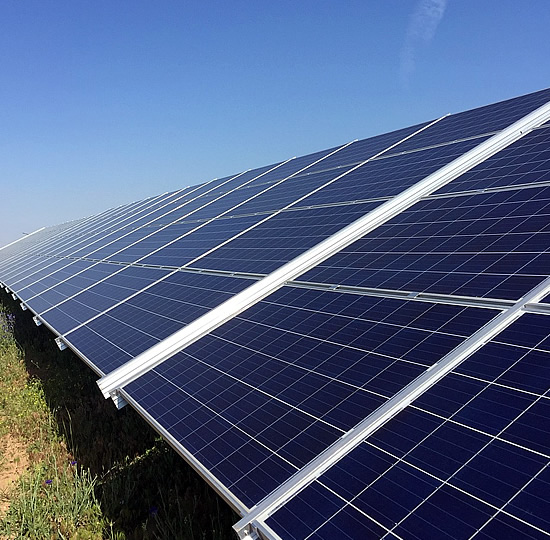 ALEGRIA ECOENERGÍA S.A.S
